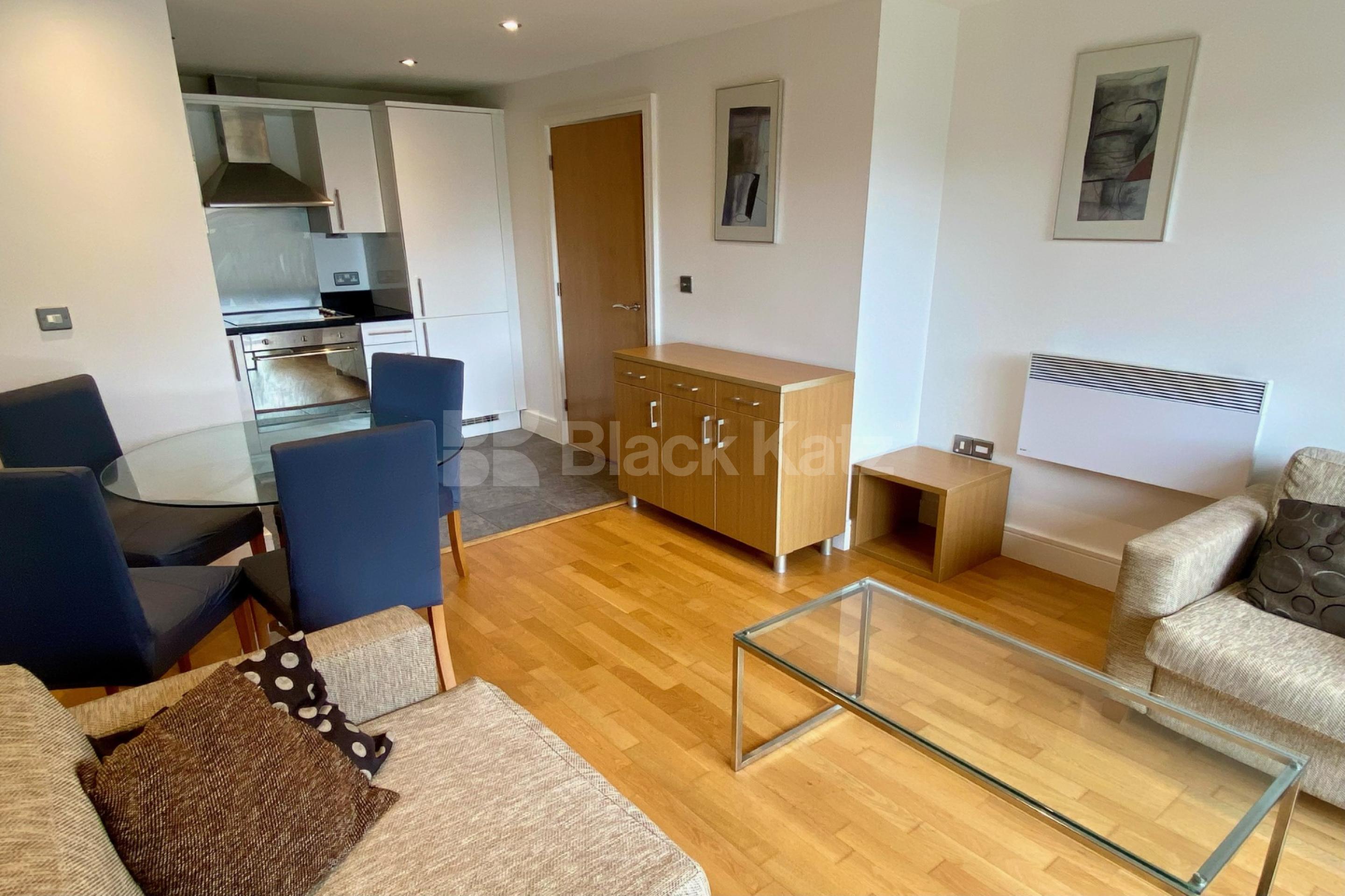 Modern, bright and airy one bedroom apartment. Long Lane, London Bridge/ Borough SE1